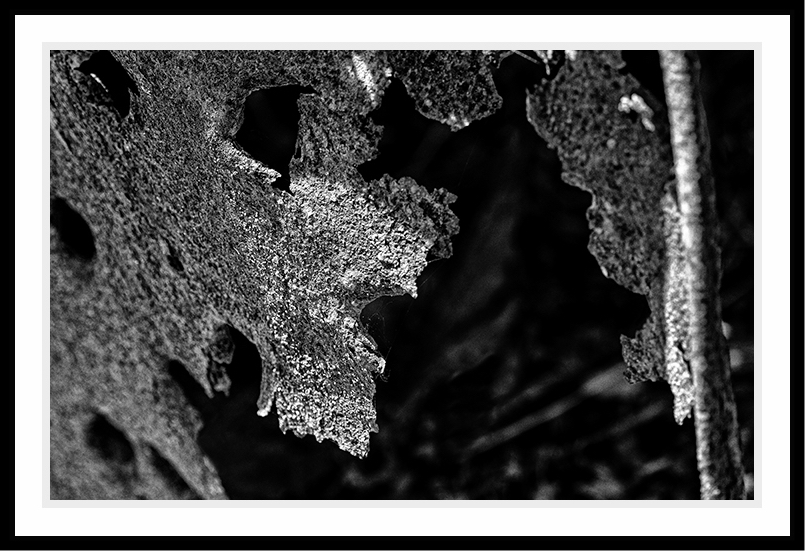 Close-up of rusted metal in black and white.